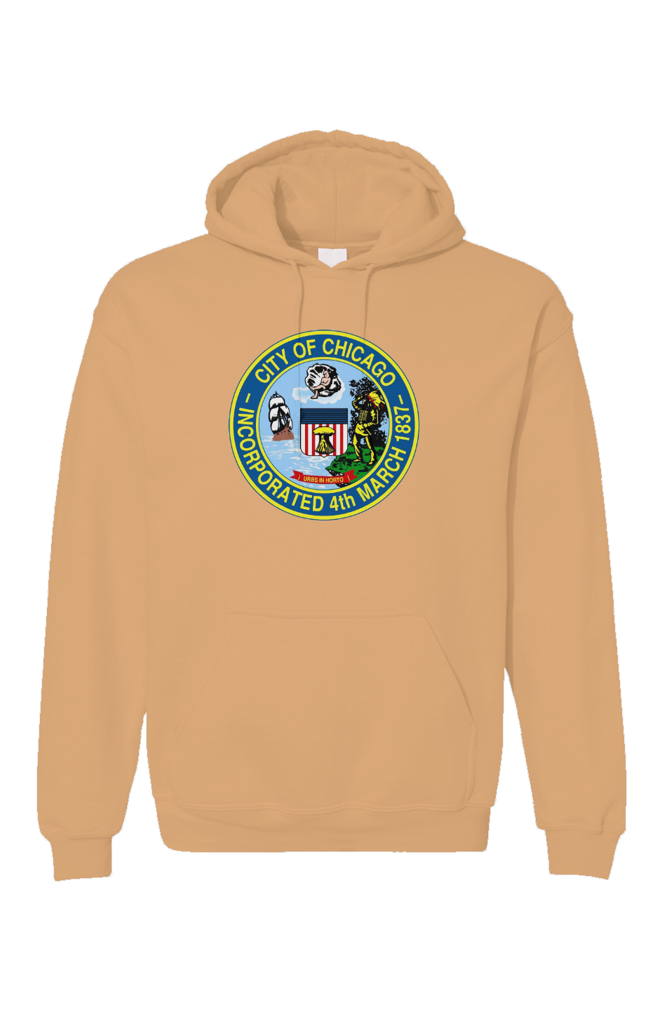 Game Day Shoes Gildan Hoodie